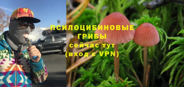 дмт Горнозаводск
